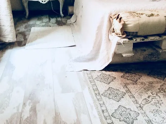 Bed & Breakfast Harriet Sovere